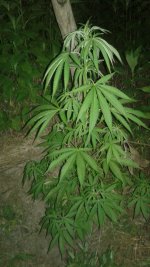 20180620_230819.jpg