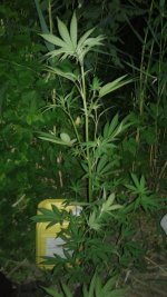 20180622_013740.jpg