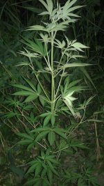 20180622_015638.jpg