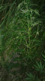 20180626_031312.jpg