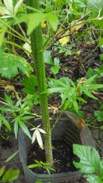 20180623_180514.jpg