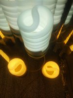 IMG_20180628_162700-01.jpeg