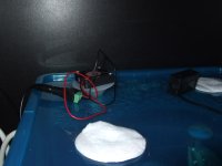 DSCF2561.JPG