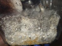 DSCF2576.JPG