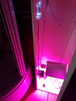 IMG_20180704_100624.jpg