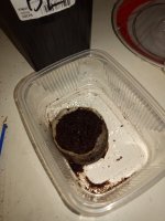 IMG_20180704_100243.jpg