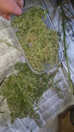 20180702_150449.jpg