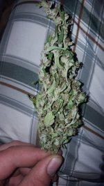 20180704_114029.jpg