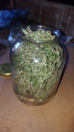 20180704_114329.jpg