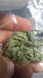 20180612_092314.jpg