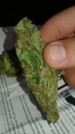 20180701_161717.jpg