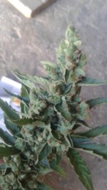 20180705_075812.jpg