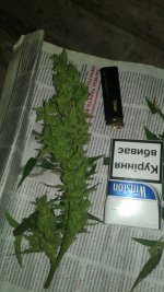 20180705_224458.jpg