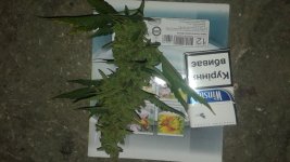 20180705_075849.jpg