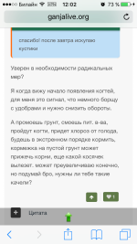 IMG_4557.PNG