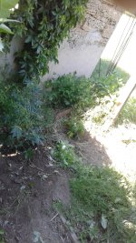 20180515_161606.jpg