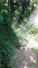 20180516_142942.jpg