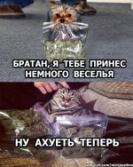 -Ie8EhrQqsU.jpg