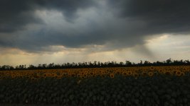 IMG_20180706_162826.jpg