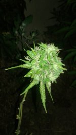 20180620_231514.jpg