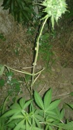 20180620_231521.jpg