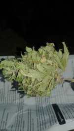 20180702_194832.jpg