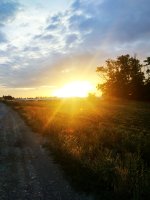 IMG_20180707_194504_HDR.jpg
