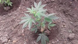 20180510_115655.jpg