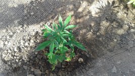 20180515_164905.jpg