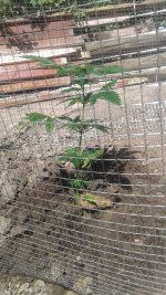 20180517_123115.jpg