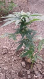20180519_102630.jpg
