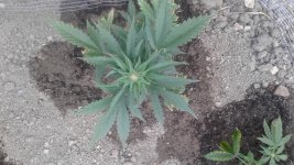 20180523_192715.jpg