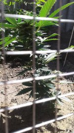 20180530_105313.jpg