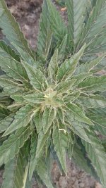 20180602_063555.jpg