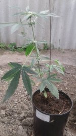 20180519_102656.jpg