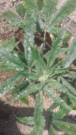 20180524_150622.jpg