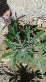 20180530_105330.jpg