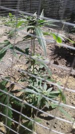 20180530_105320.jpg