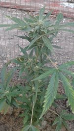 20180602_063543.jpg