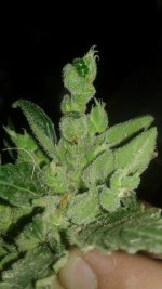 20180620_205403.jpg