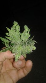 20180620_205347.jpg