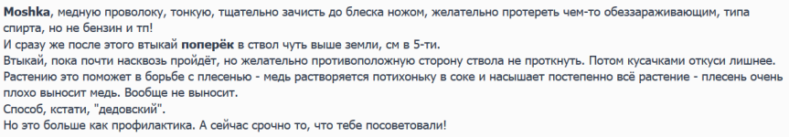 медную проволоку, тонкую, тщательно зачисть до блеска.png