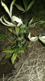 20180523_222356.jpg