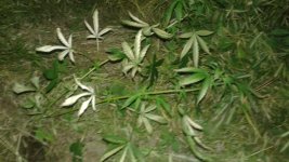 20180523_222118.jpg