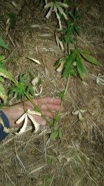 20180529_224823.jpg