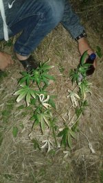 20180529_225052.jpg