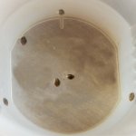 q03 - копия.jpg