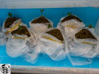 q06 - копия.jpg