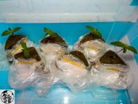 q07 - копия.jpg