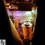 q08 - копия.jpg